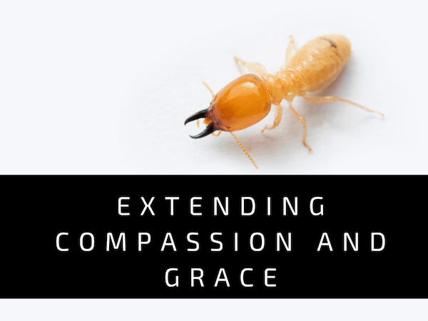 Extending Compassion and Grace